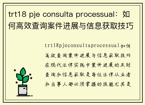 trt18 pje consulta processual：如何高效查询案件进展与信息获取技巧